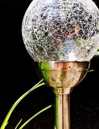 Close-up of water drop on black background