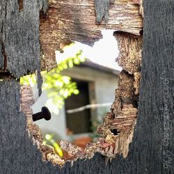 Close-up of wooden door