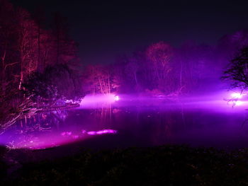 Illuminated trees by lake against sky at night