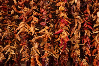 Full frame shot of dried chili peppers