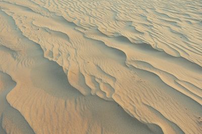 High angle view of sand dunes at beach