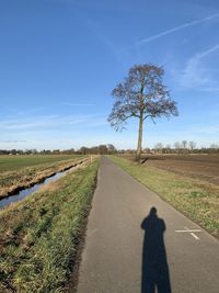 Shadow of person on road amidst field against sky