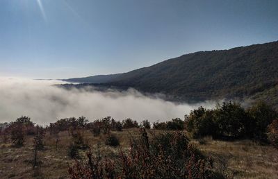 Scenic view of landscape against sky