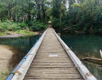 Wooden footbridge over lake in forest