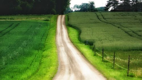 Scenic view of agricultural field