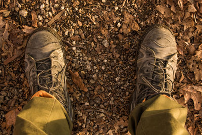 Low section of man standing on ground