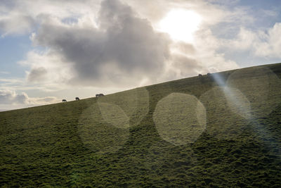 Low angle view of land against sky