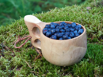 Close-up of fruit on grass in field