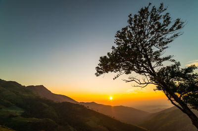 Silhouette tree against mountain during sunset