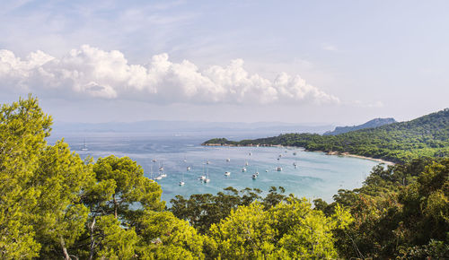 High angle view of trees and sea against sky