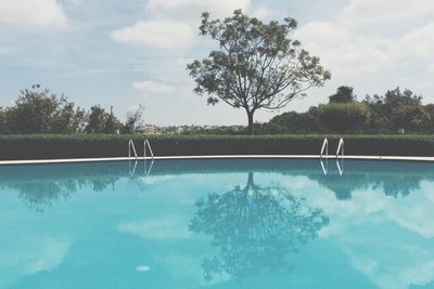 Swimming pool by tree against sky