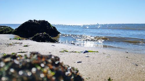 Scenic view of beach against clear sky