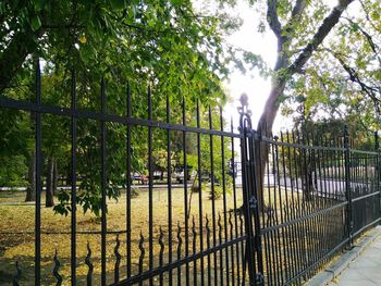 Man on railing against trees