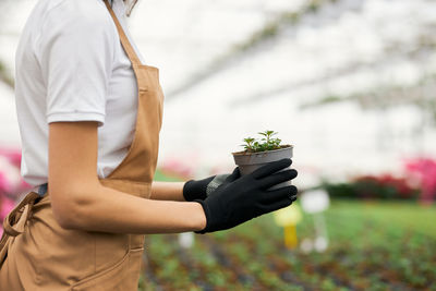 Midsection of woman holding flower while standing on potted plant