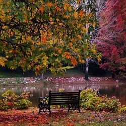 Empty bench in park