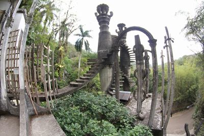 Panoramic view of trees