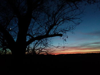 Silhouette bare tree against sky at sunset