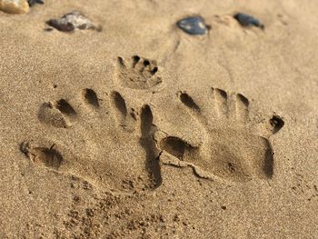 High angle view of footprints on sand