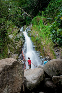 Scenic view of waterfall