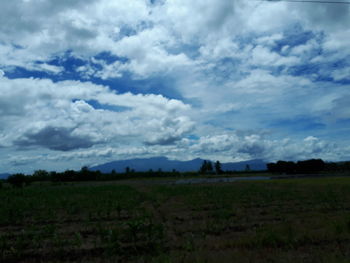 Scenic view of agricultural field against sky