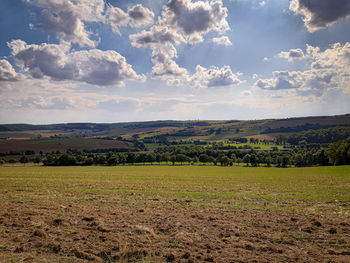 Scenic view of field against sky