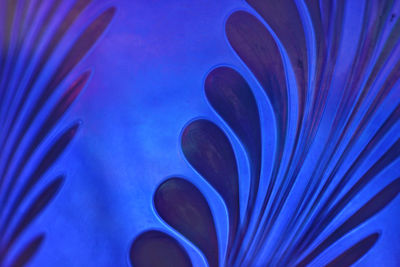 Close-up of jellyfish swimming underwater