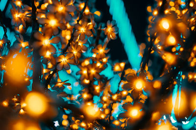 Low angle view of illuminated christmas lights at night