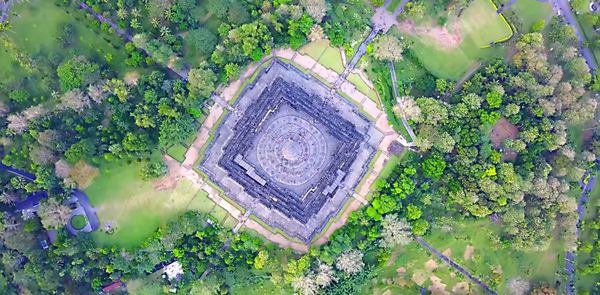 High angle view of plants by trees