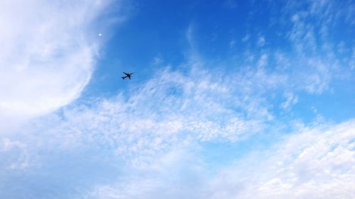 Low angle view of silhouette airplane flying in sky