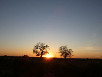 Silhouette trees on field against sky during sunset