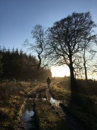 Man walking on field against sky