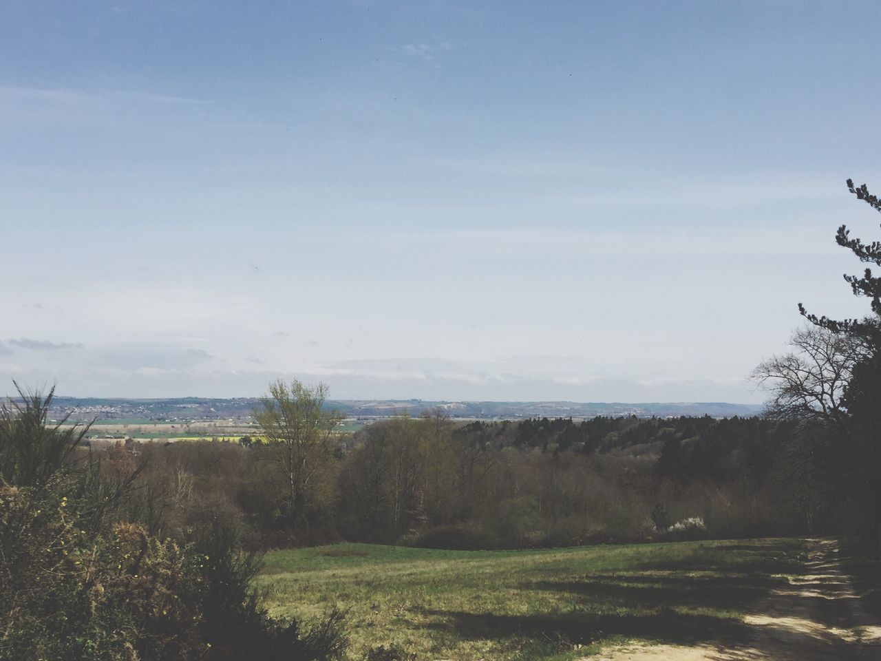 tranquil scene, tranquility, sky, scenics, tree, water, beauty in nature, sea, nature, horizon over water, grass, growth, landscape, plant, idyllic, blue, field, cloud, beach, non-urban scene