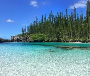 Scenic view of sea against blue sky