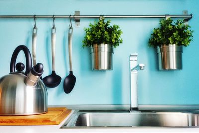 Potted plants in kitchen at home