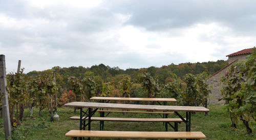 Empty bench in park against sky