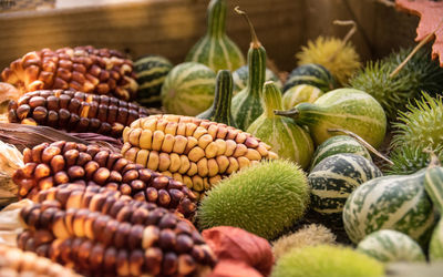 Close-up of sweetcorns and squashes at market