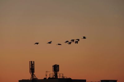 Low angle view of silhouette birds flying against sky during sunset