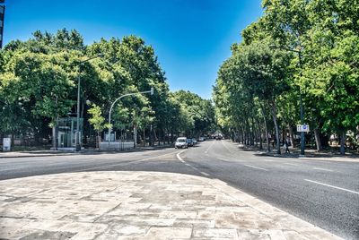 Road amidst trees in city against sky