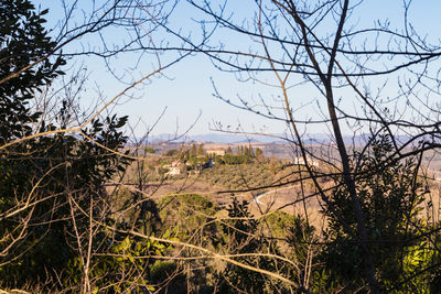 Bare trees on landscape against sky