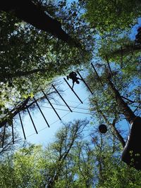 Low angle view of trees against sky