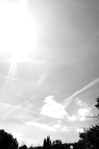 Low angle view of trees against sky