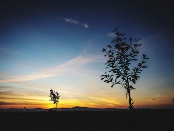 Silhouette tree against sky during sunset