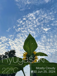 sky