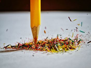 Close-up of colored pencils shavings