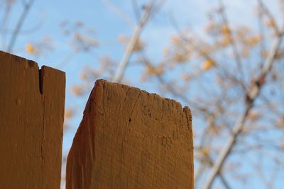 Low angle view of wooden fence against sky