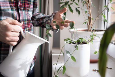 Midsection of man watering plants at home