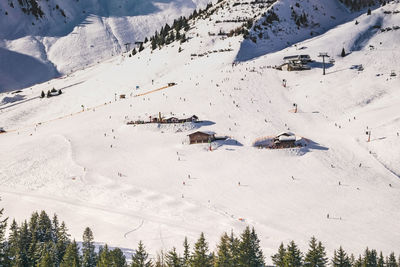 High angle view of trees on snow covered landscape