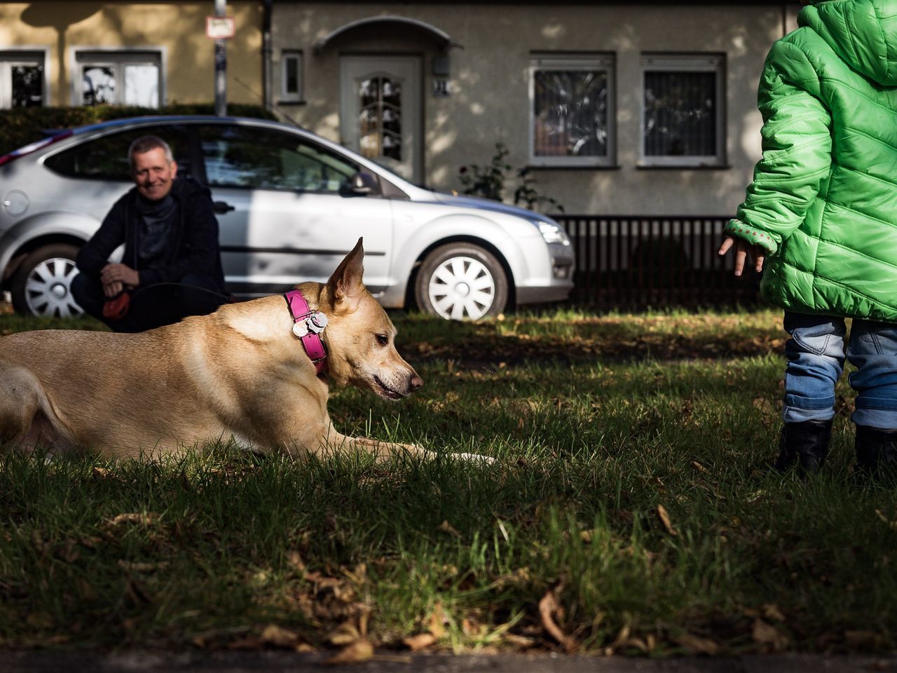 grass, lifestyles, leisure activity, person, dog, full length, architecture, building exterior, playing, built structure, domestic animals, casual clothing, pets, mammal, day, outdoors, growth, green color, innocence, grassy