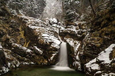 Low angle view of waterfall amidst trees in forest