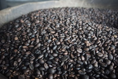 Close-up of coffee beans